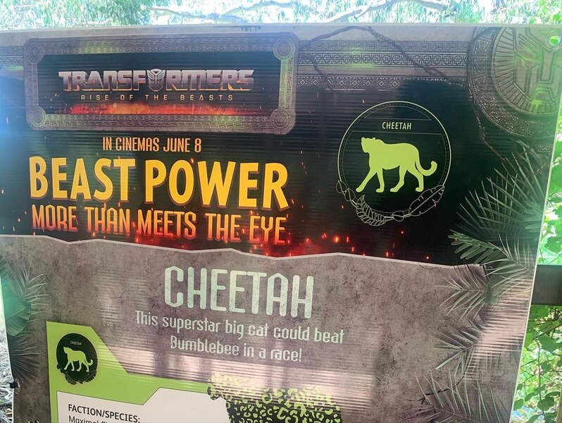 Image Of Transformers Rise Of The Beasts   Beast Awakening Taronga Zoo In Sydney, Australia 2   (11 of 21)